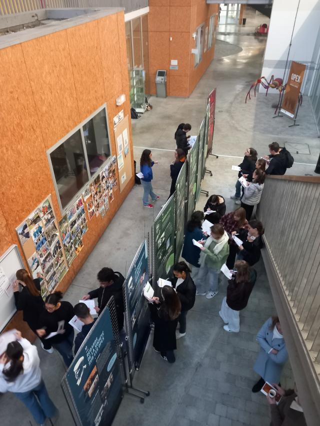 Les élèves répondant aux énigmes du livret-jeu OPEX