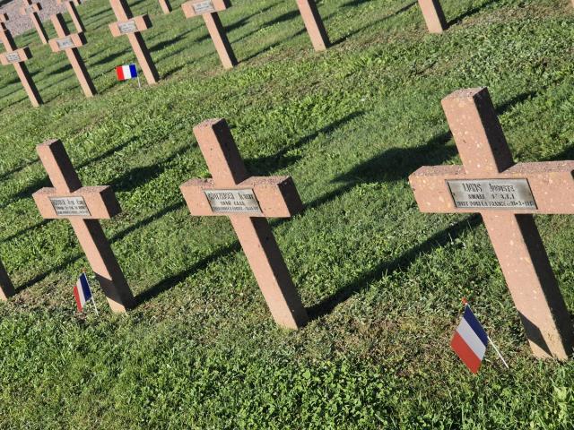 reference canon de Zillisheim