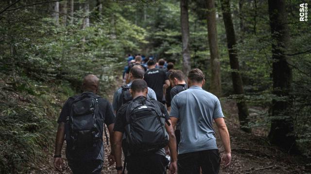 Personnes de dos et marchant