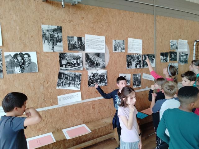 Les enfants recherchent les réponses au quiz