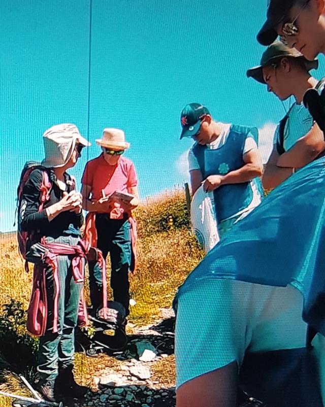 Collecte du Bleuet dans le Cantal