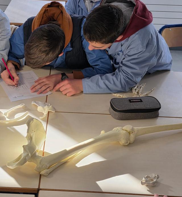 Atelier anthropologique