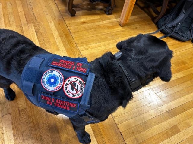  Ce dispositif a pour objectif de favoriser la création de liens entre les participants, de rompre l’isolement et d’offrir un espace d’écoute bienveillante et sans jugement. Il permet également le partage d’expériences dans un climat de confiance et de respect mutuel.  Inspiré du modèle des maisons ATHOS, ce groupe vise à accompagner chaque blessé dans son parcours de reconstruction, en complément des dispositifs médicaux et sociaux déjà existants.  Une première rencontre s’est tenue le vendredi 13 mars en présence de quatre participants qui se réuniront désormais une fois par mois. Ces rencontres pourront également être enrichies par l’intervention de différents acteurs tels qu’une assistante sociale, des professionnels de santé ou encore des présidents d’associations. 