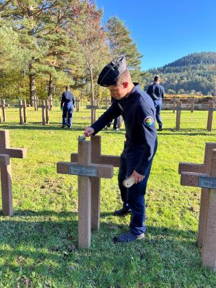 Nettoyage des emblèmes 